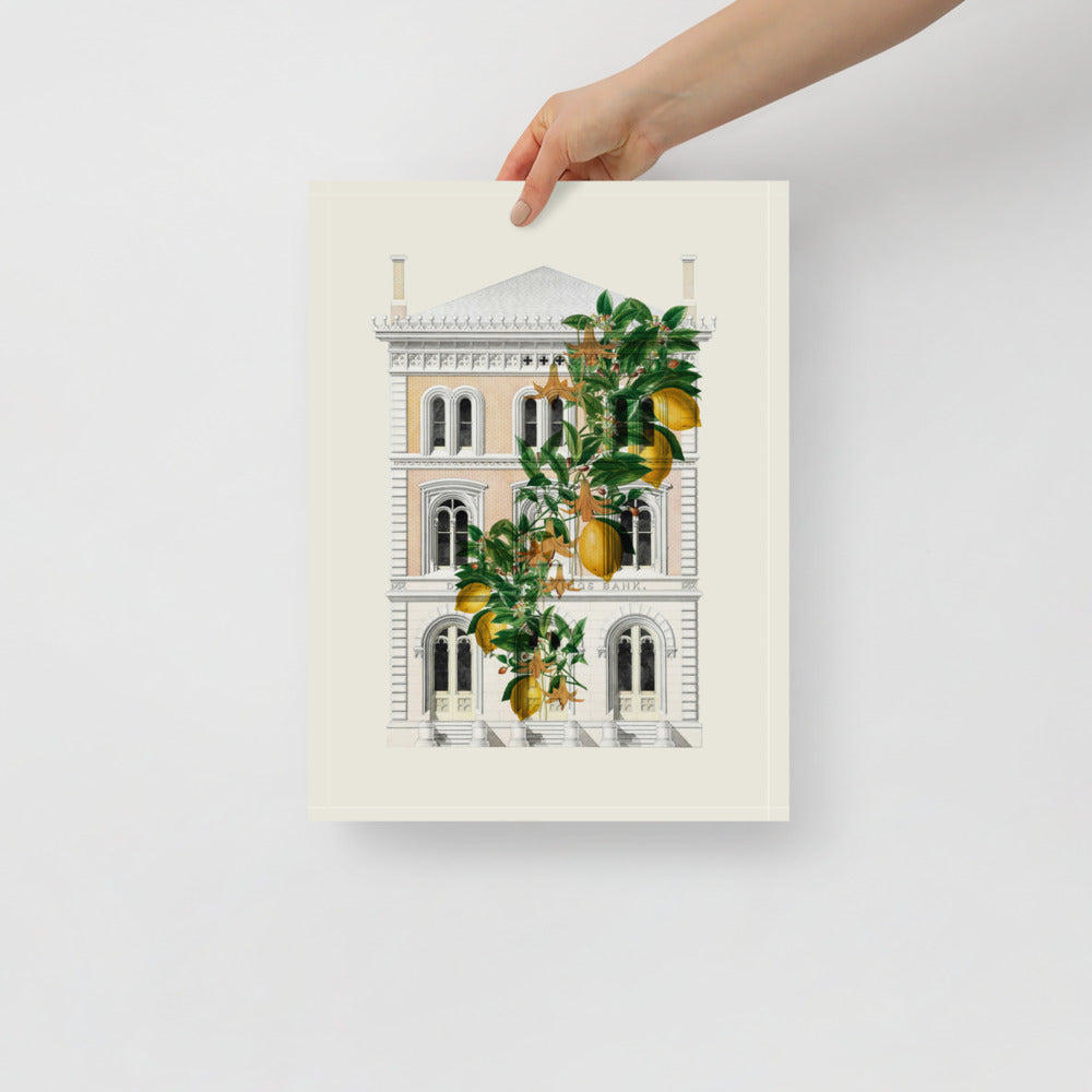 Lemony Hous of Bank | Veska 12×16