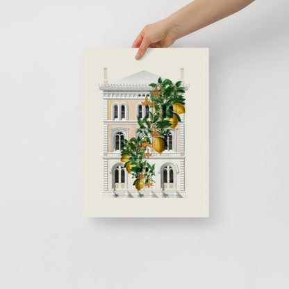 Lemony Hous of Bank | Veska 12×16