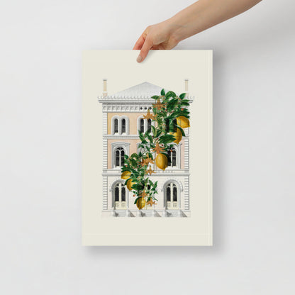 Lemony Hous of Bank | Veska 12×18