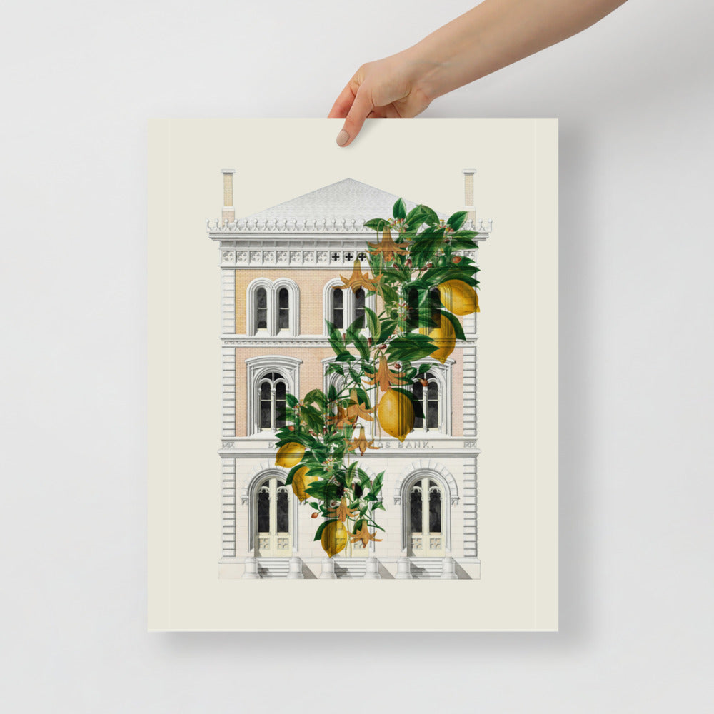 Lemony Hous of Bank | Veska 16×20