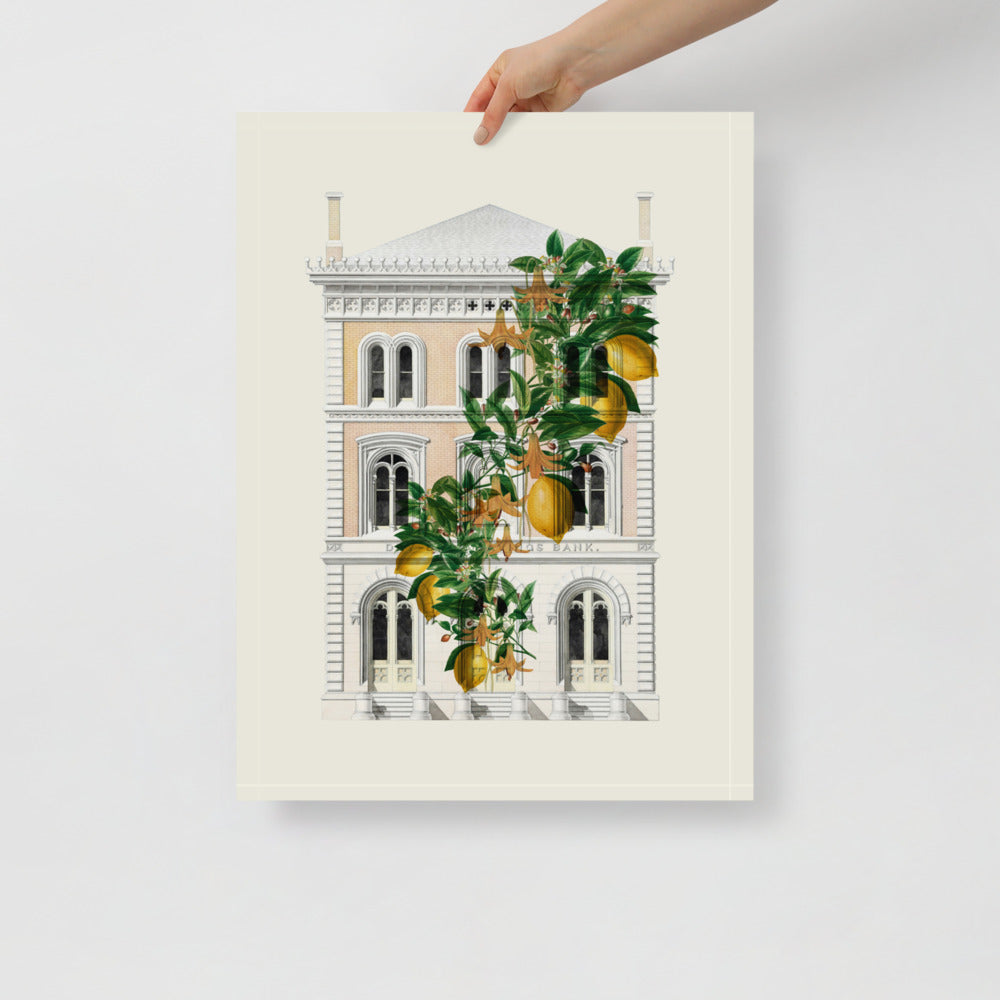 Lemony Hous of Bank | Veska 18×24