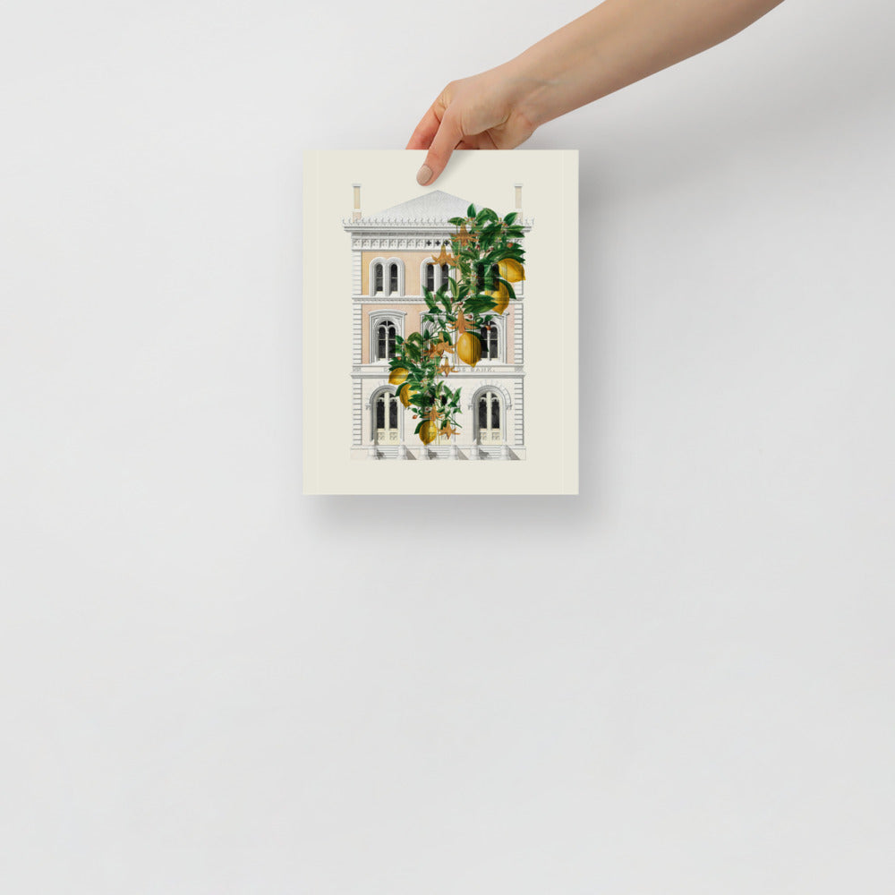 Lemony Hous of Bank | Veska