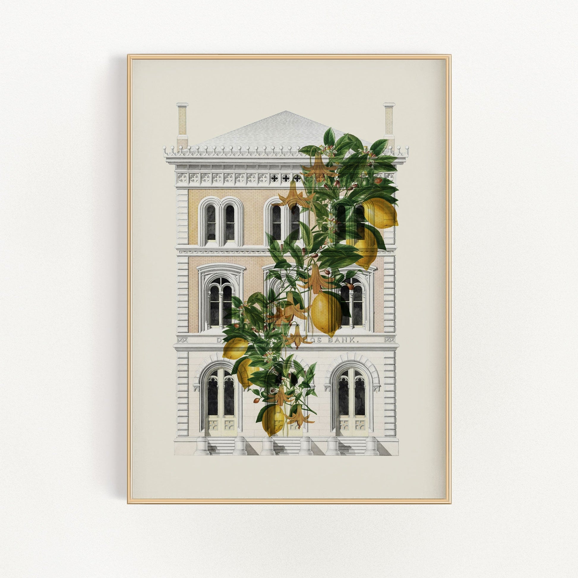 Lemony Hous of Bank | Veska 8×10