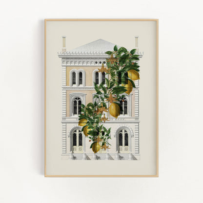Lemony Hous of Bank | Veska 8×10