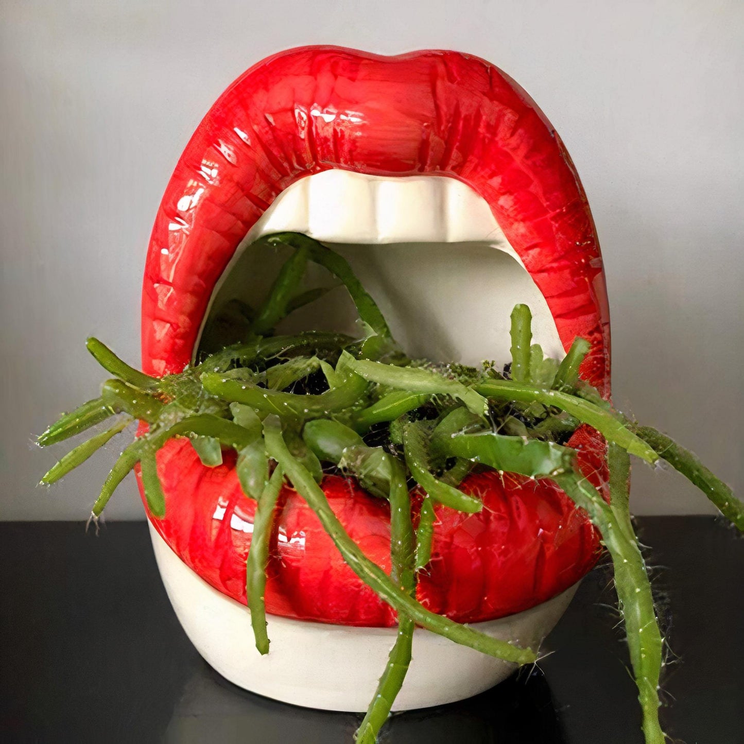 Lips Keramisk Planter | Veska Röd