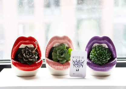 Lips Keramisk Planter | Veska