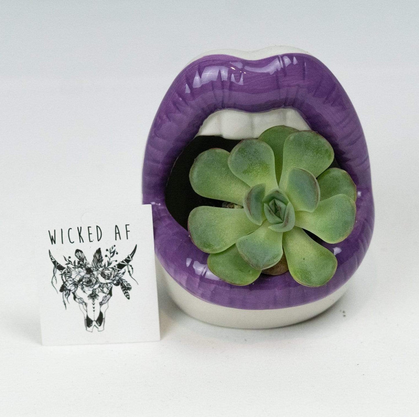 Lips Keramisk Planter | Veska