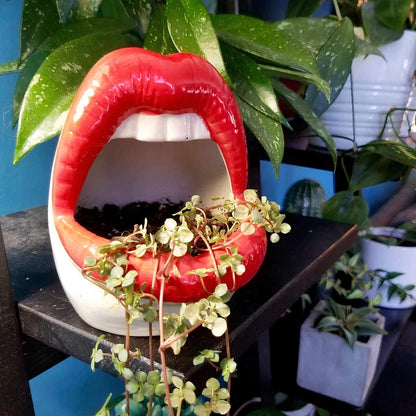 Lips Keramisk Planter | Veska