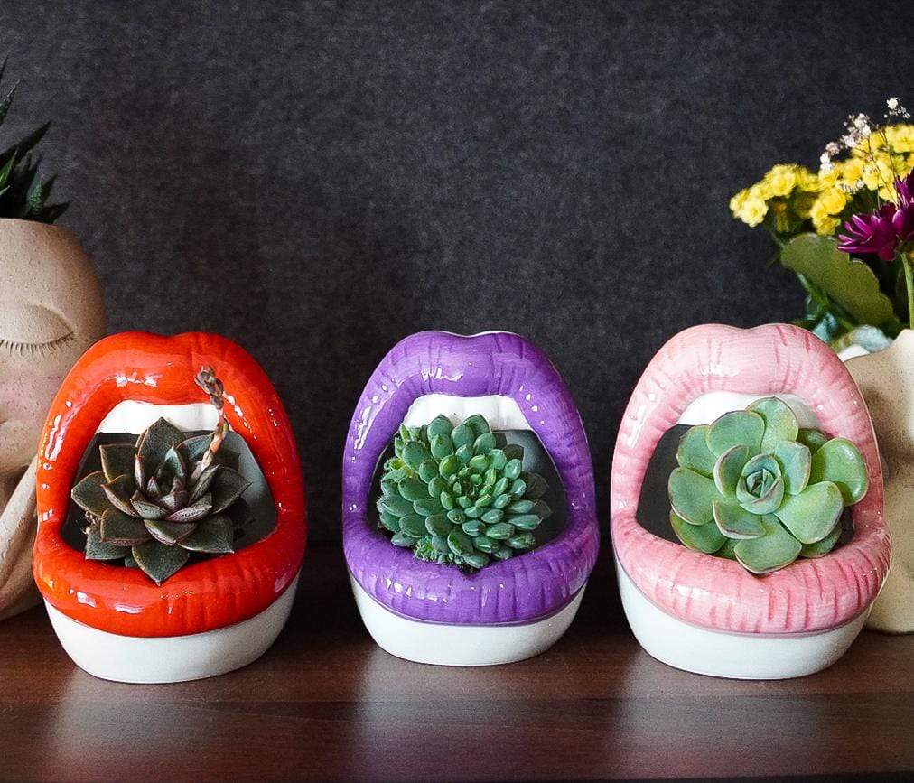 Lips Keramisk Planter | Veska