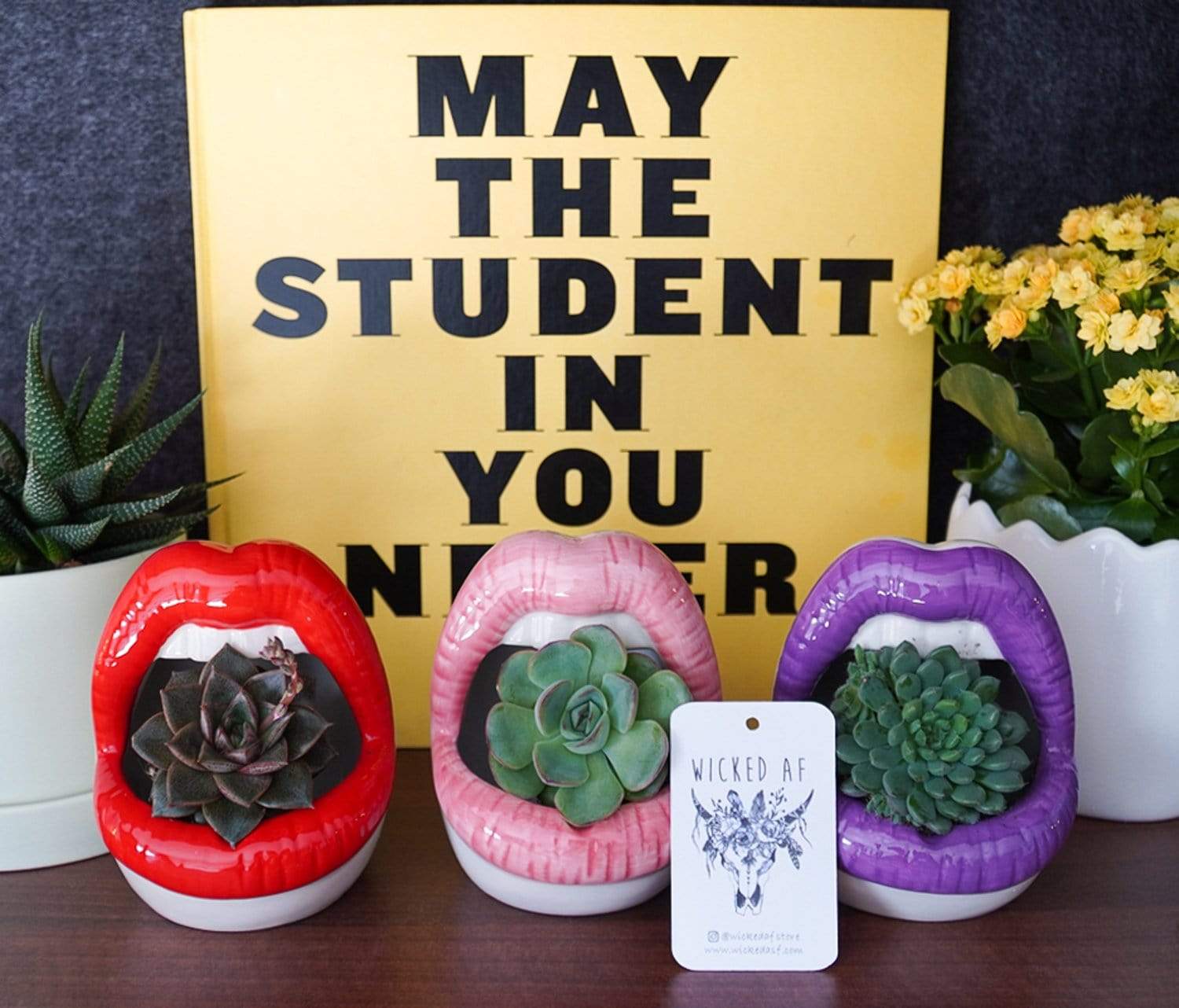 Lips Keramisk Planter | Veska