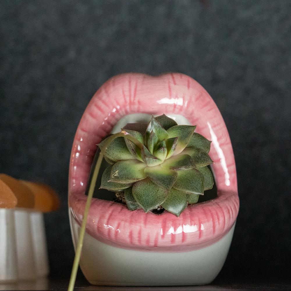 Lips Keramisk Planter | Veska