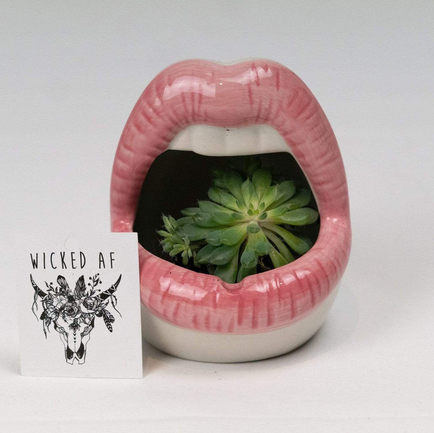 Lips Keramisk Planter | Veska