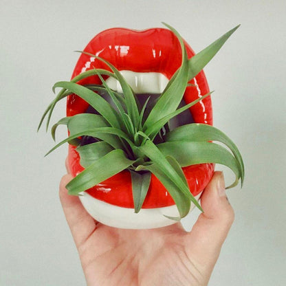 Lips Keramisk Planter | Veska