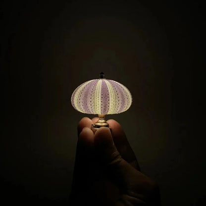 LumiCraft – Unik DIY bordslampa med naturlig snäcka för en mysig dekoration | Veska