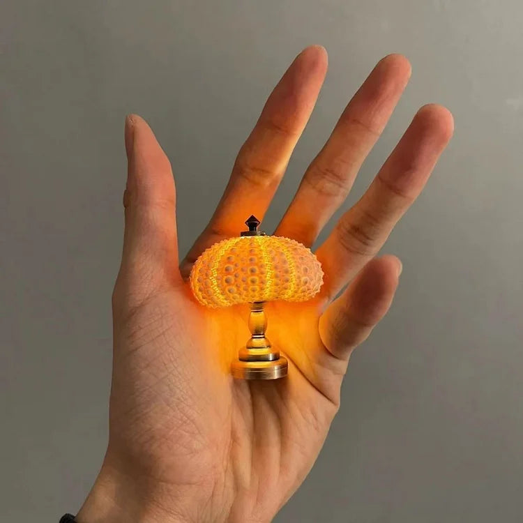 LumiCraft – Unik DIY bordslampa med naturlig snäcka för en mysig dekoration | Veska