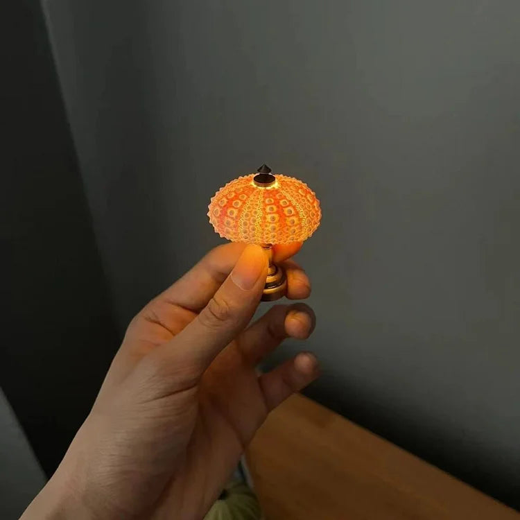 LumiCraft – Unik DIY bordslampa med naturlig snäcka för en mysig dekoration | Veska