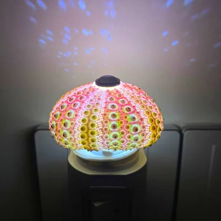 LumiCraft – Unik DIY bordslampa med naturlig snäcka för en mysig dekoration | Veska