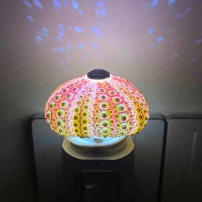 LumiCraft – Unik DIY bordslampa med naturlig snäcka för en mysig dekoration | Veska