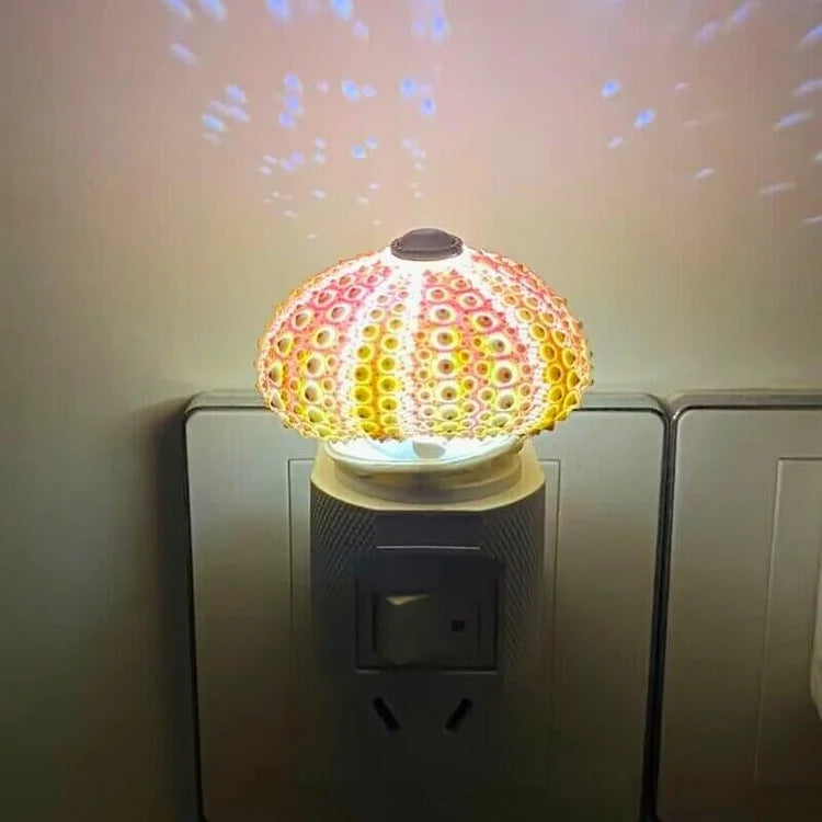 LumiCraft – Unik DIY bordslampa med naturlig snäcka för en mysig dekoration | Veska Zeecape