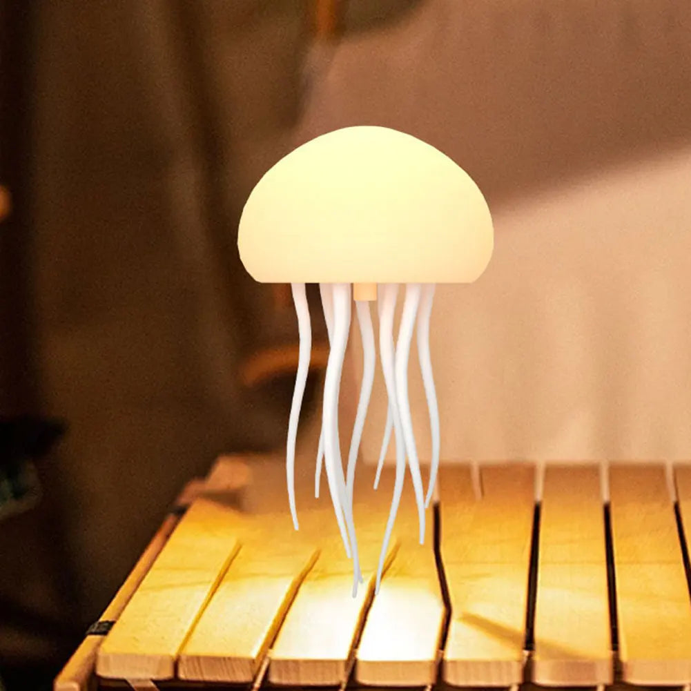 Manetlampa | Veska