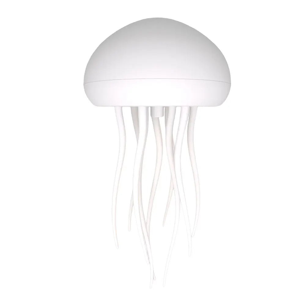 Manetlampa | Veska Hängande