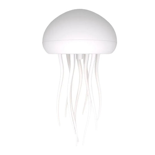 Manetlampa | Veska Hängande