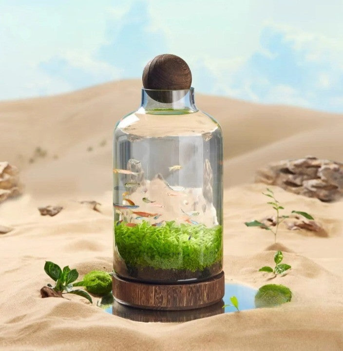 Mikro Akvarium Kompakt Glas Ekologisk Fisk Tank | Veska L