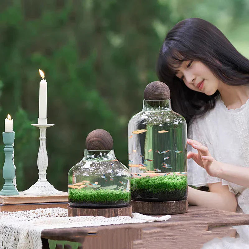 Mikro Akvarium Kompakt Glas Ekologisk Fisk Tank | Veska