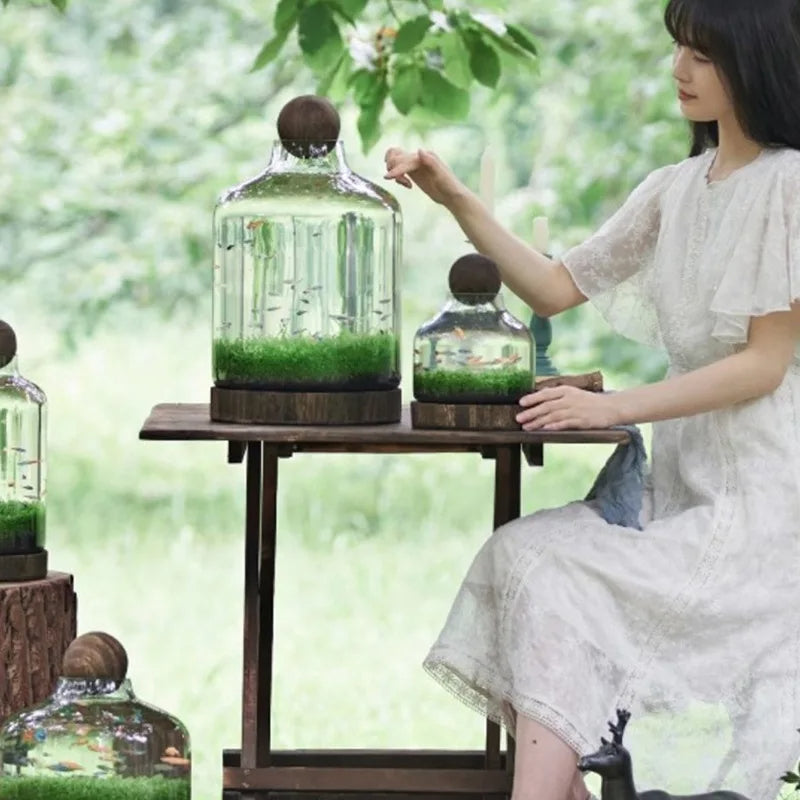 Mikro Akvarium Kompakt Glas Ekologisk Fisk Tank | Veska