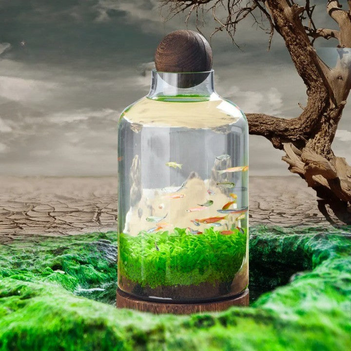 Mikro Akvarium Kompakt Glas Ekologisk Fisk Tank | Veska