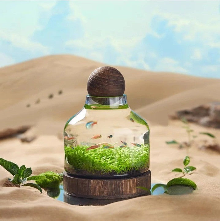 Mikro Akvarium Kompakt Glas Ekologisk Fisk Tank | Veska S