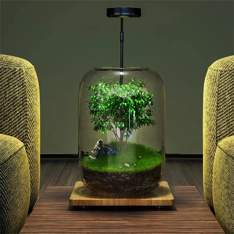 Mikro Landskap Grön Oas Glas Vas | Veska