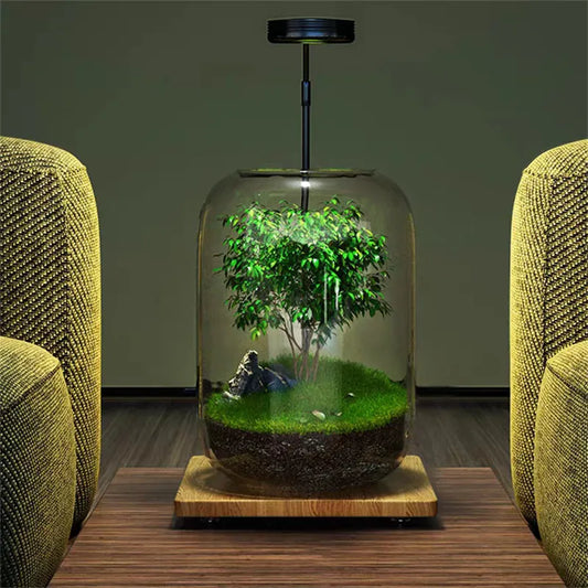 Mikro Landskap Grön Oas Glas Vas | Veska