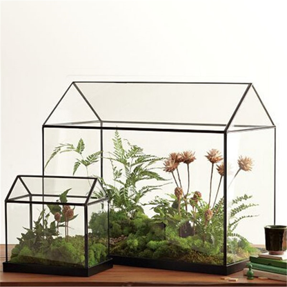 Mini Bordtop Hantverk Grönhus Terrarium | Veska