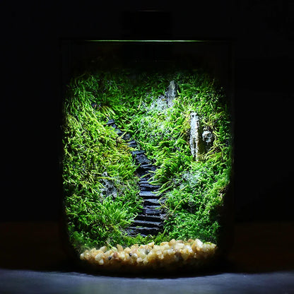 Mini Forest Maker Terrarium Dekor Vas | Veska