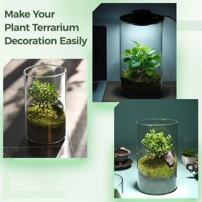 Mini Forest Maker Terrarium Dekor Vas | Veska