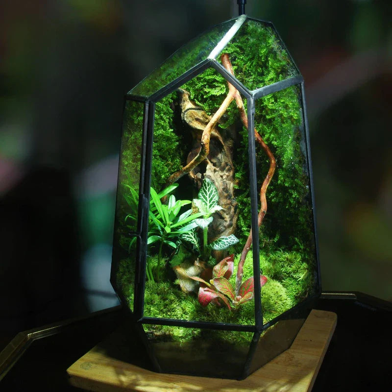 Modern geometrisk naturinspirerad botanisk terrarium | Veska