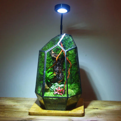 Modern geometrisk naturinspirerad botanisk terrarium | Veska