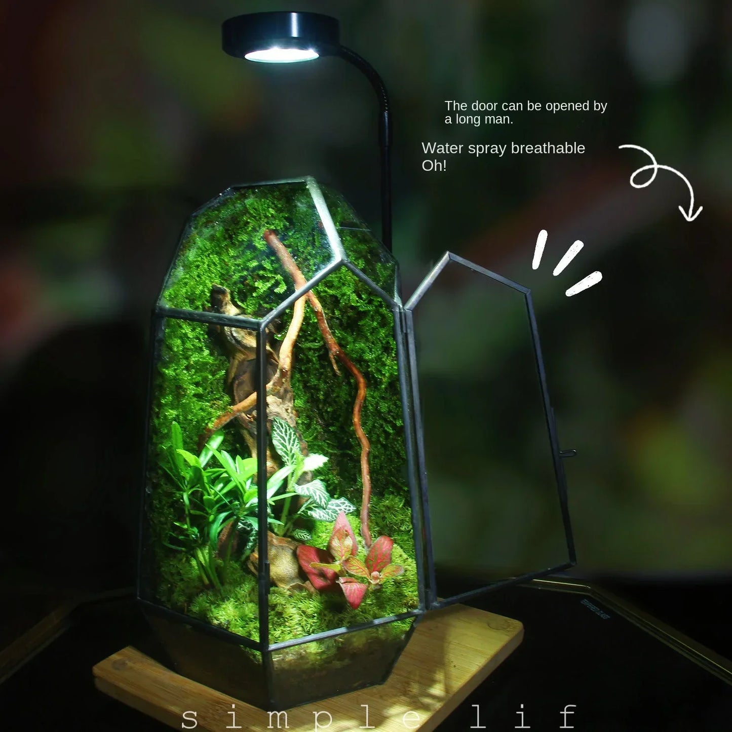 Modern geometrisk naturinspirerad botanisk terrarium | Veska