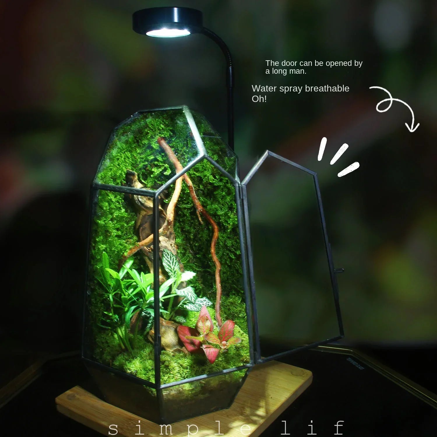 Modern geometrisk naturinspirerad botanisk terrarium | Veska