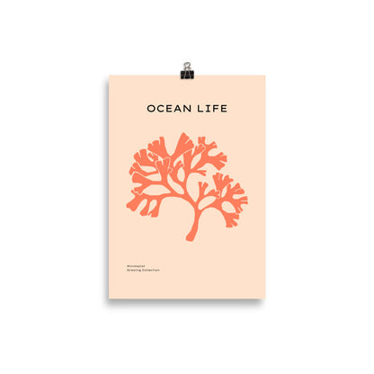Ocean Life No. 3 | Veska