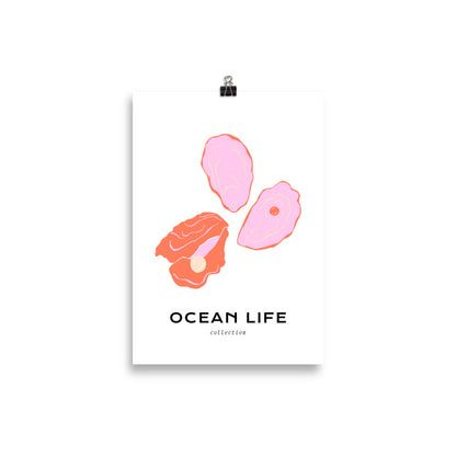 Ocean Life - Shell | Veska