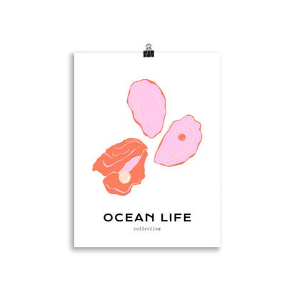 Ocean Life - Shell | Veska 30×40 cm