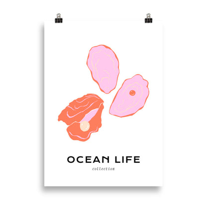 Ocean Life - Shell | Veska 50×70 cm