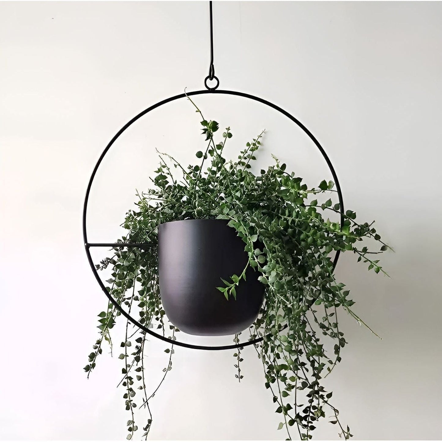 Plant Hängare - Elegant Metall Hängande Veskaomkruka Hållare | Veska Nötkött Svart