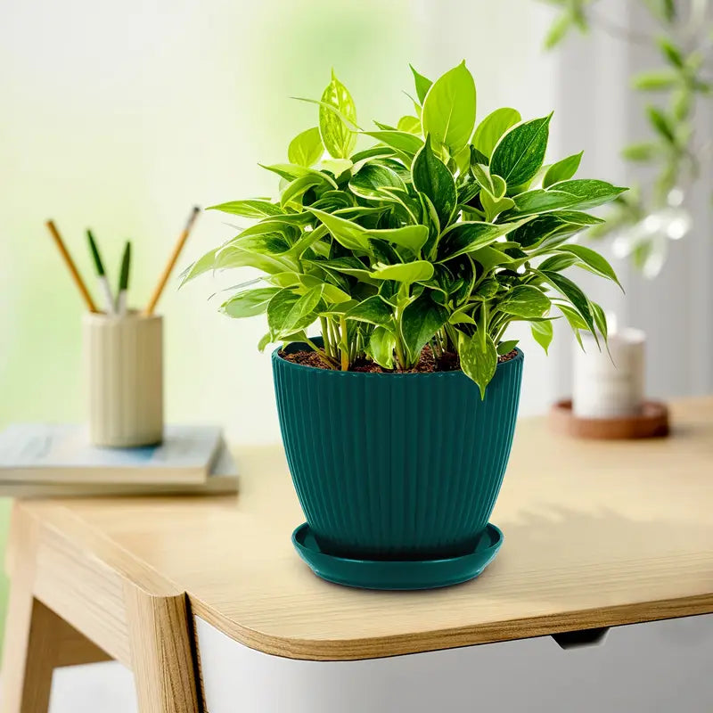 Plantekruka med ribbad struktur och fat Robust plastkruka för växter | Veska