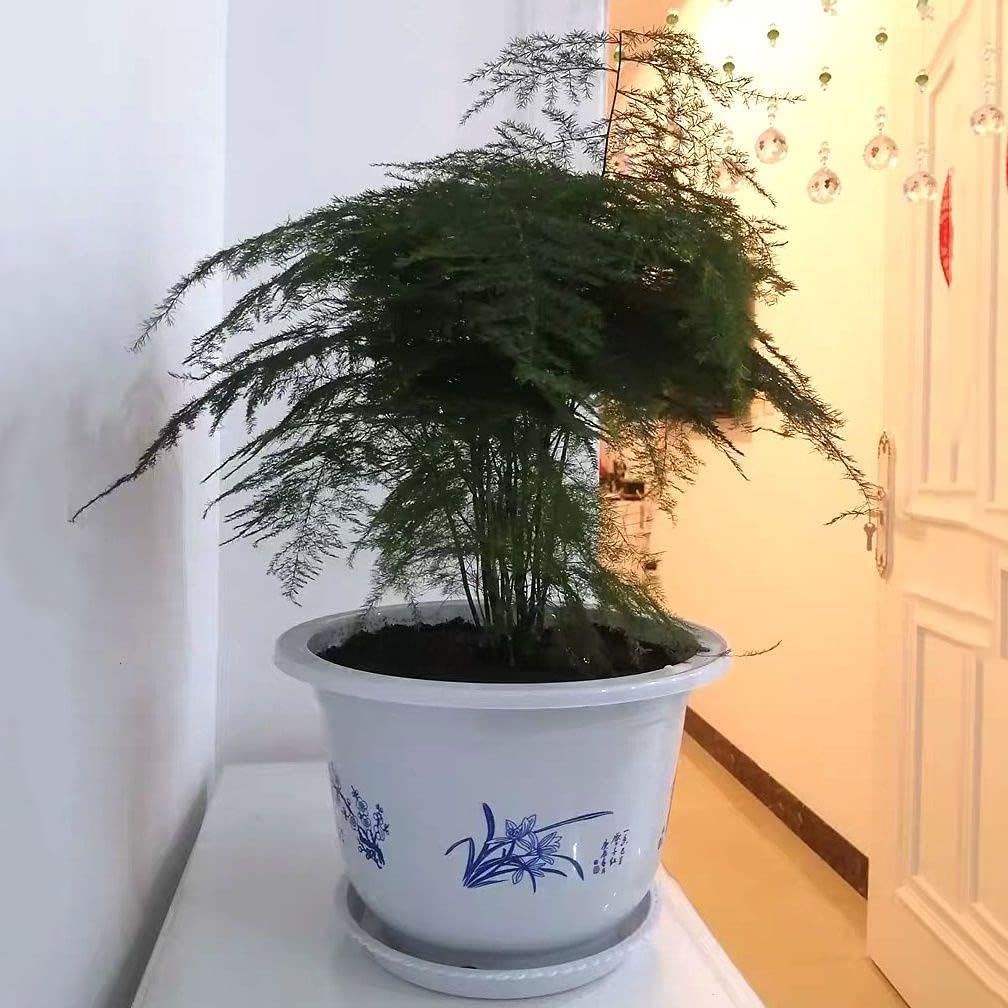 PlastVeskaomkruka med bambu motiv Elegant kruka för balkong och trädgård | Veska