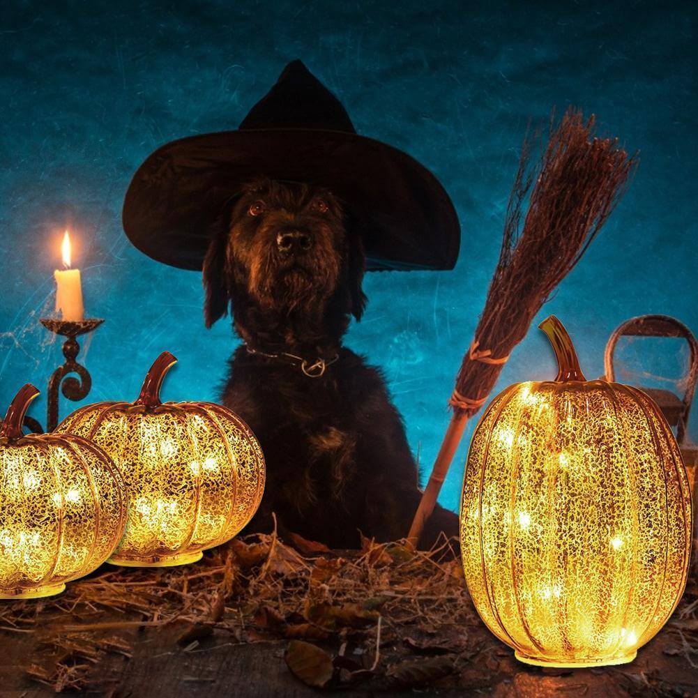 Pumpkin Luminous Halloween Dekorativ Lampa | Veska