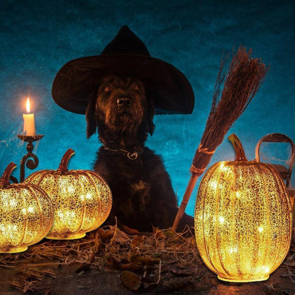 Pumpkin Luminous Halloween Dekorativ Lampa | Veska