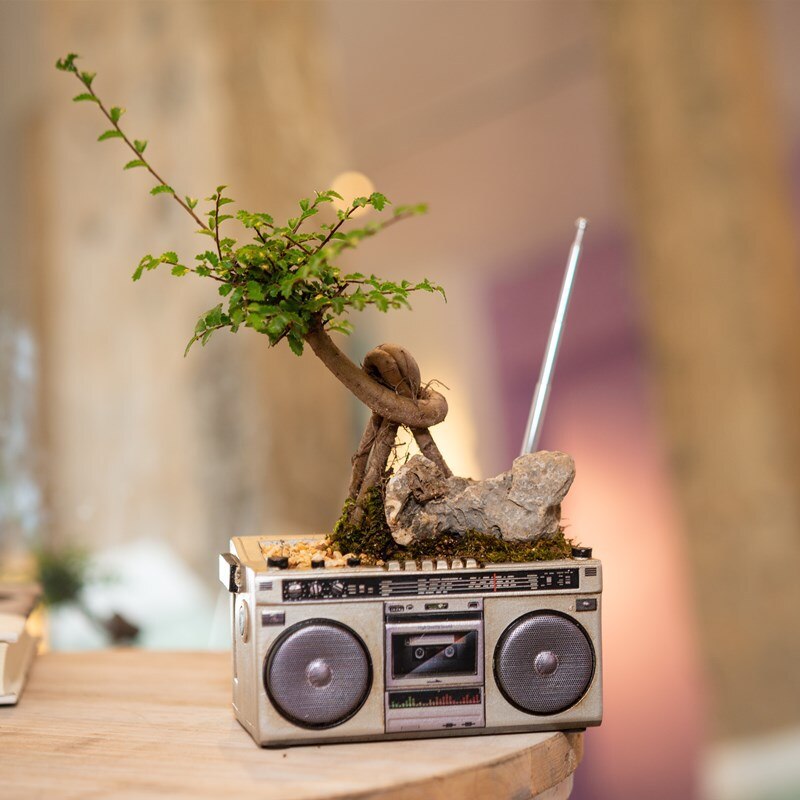 Retro Radio TV Succulent Pot | Veska